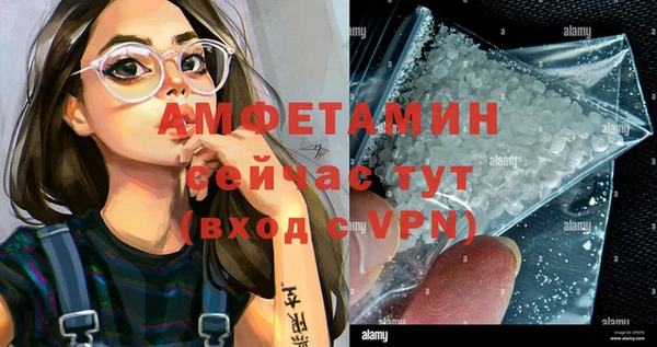сатива Алзамай