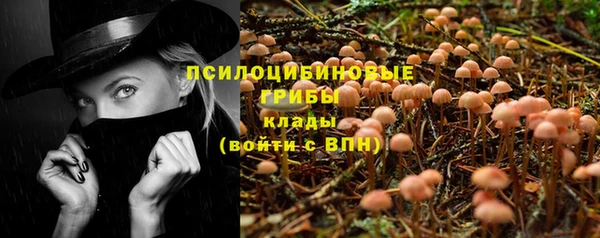 молекула духа Алексин