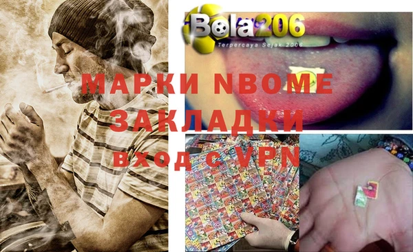 сатива Алзамай