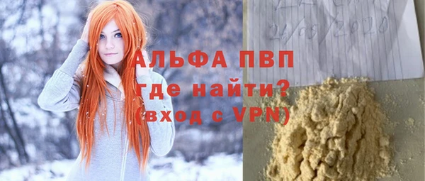 сатива Алзамай