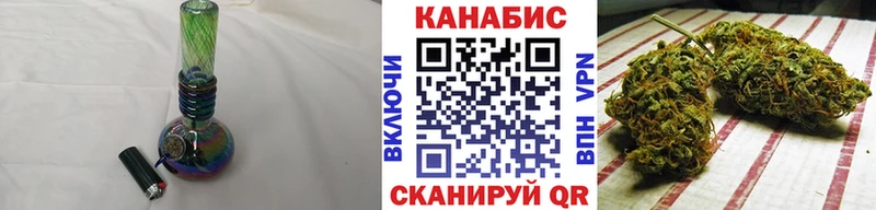 Каннабис сатива Новочеркасск